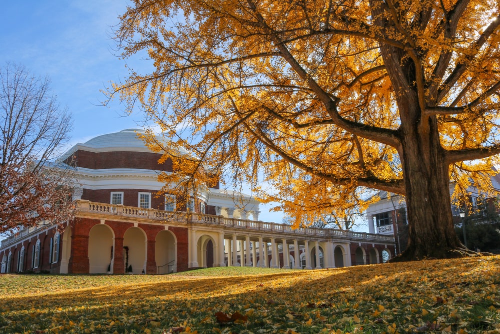 2024 Best Colleges in the South